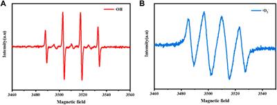 CuCo and sulfur doped carbon nitride composite as an effective Fenton-like catalyst in a wide pH range